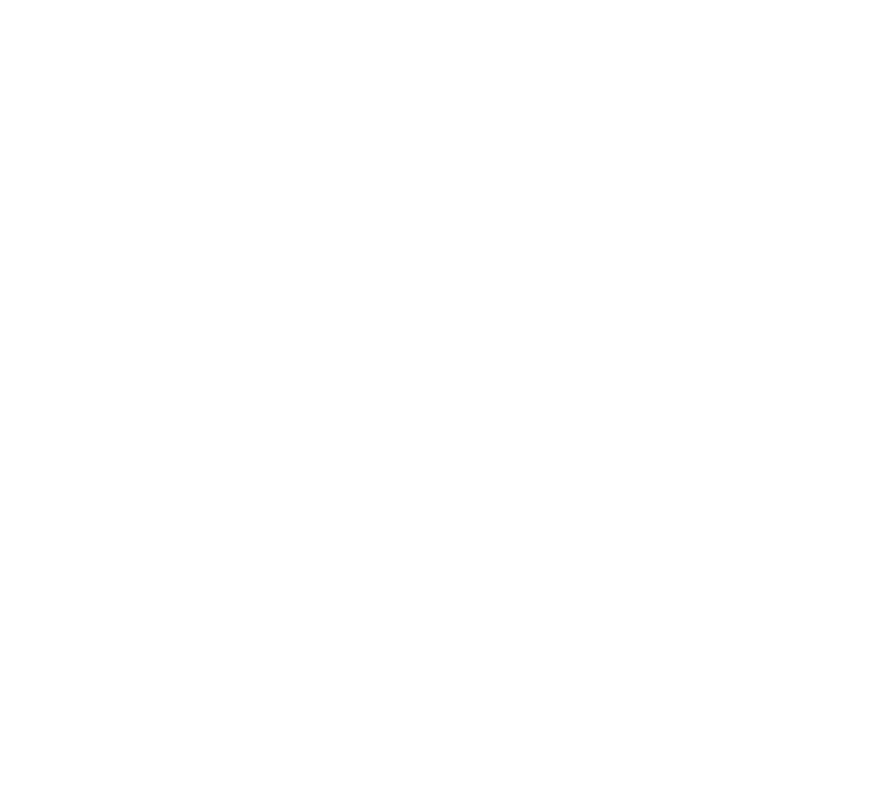 Softtech Logo